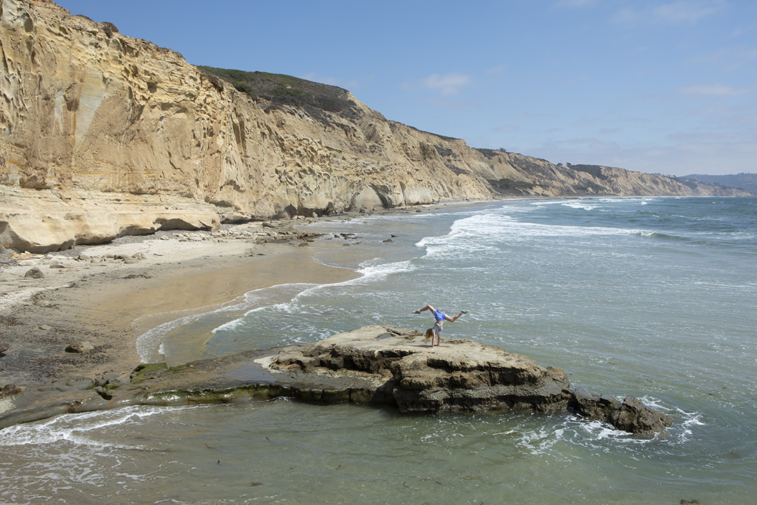 Torrey Pines Nature Reserve