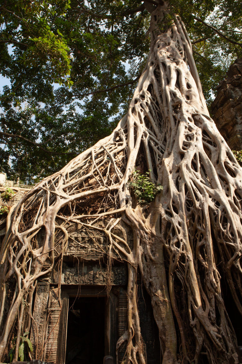 travel photography cambodia angkor wat