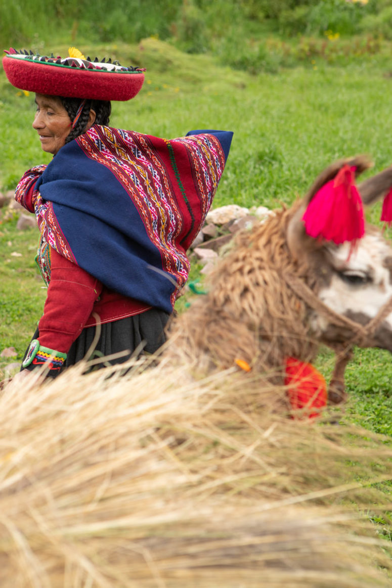 travel photographer peru llama