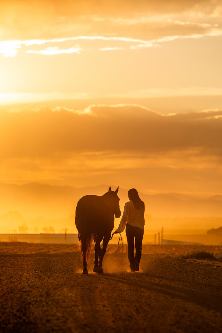High school student walking with horse at sunset.